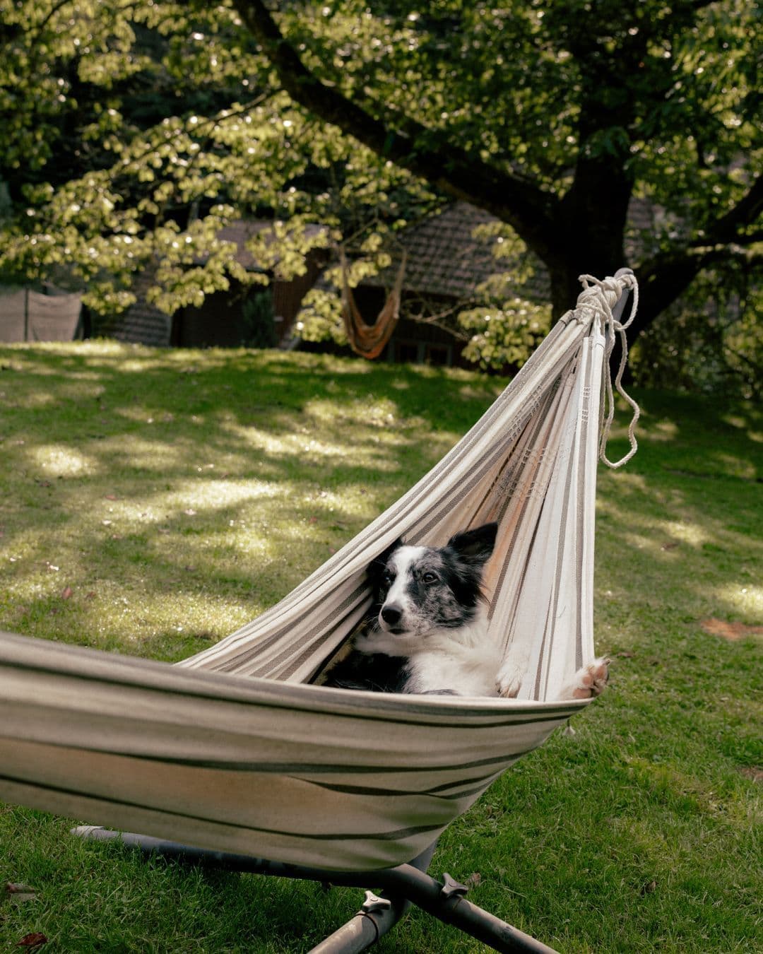 Was bedeutet „Glamping mit Hund"?