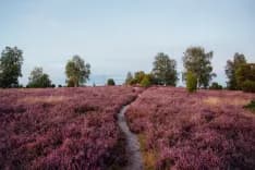 Camping in und um Hamburg