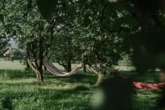 Camping in Zürich