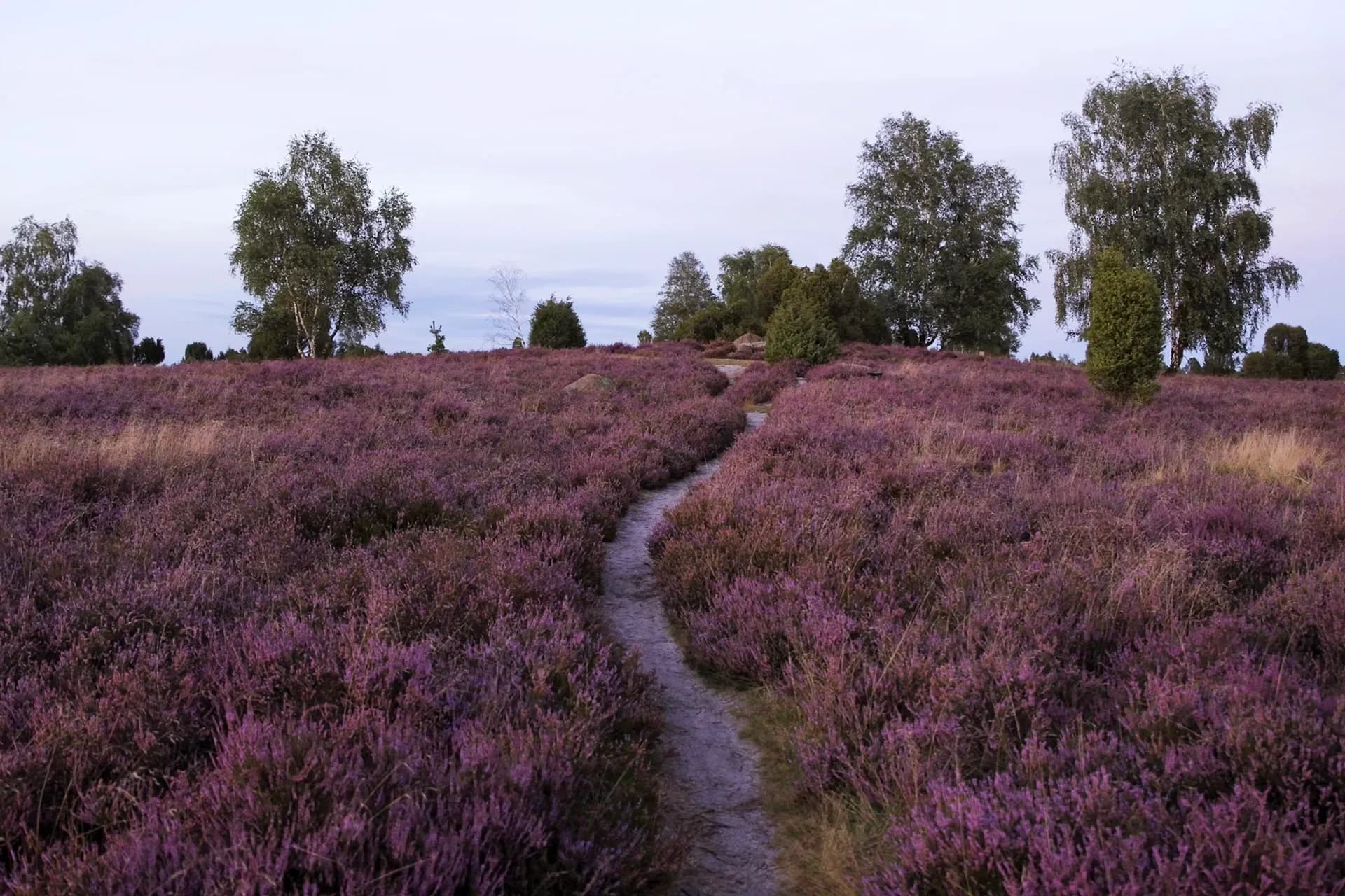 Camping in der Lüneburger Heide