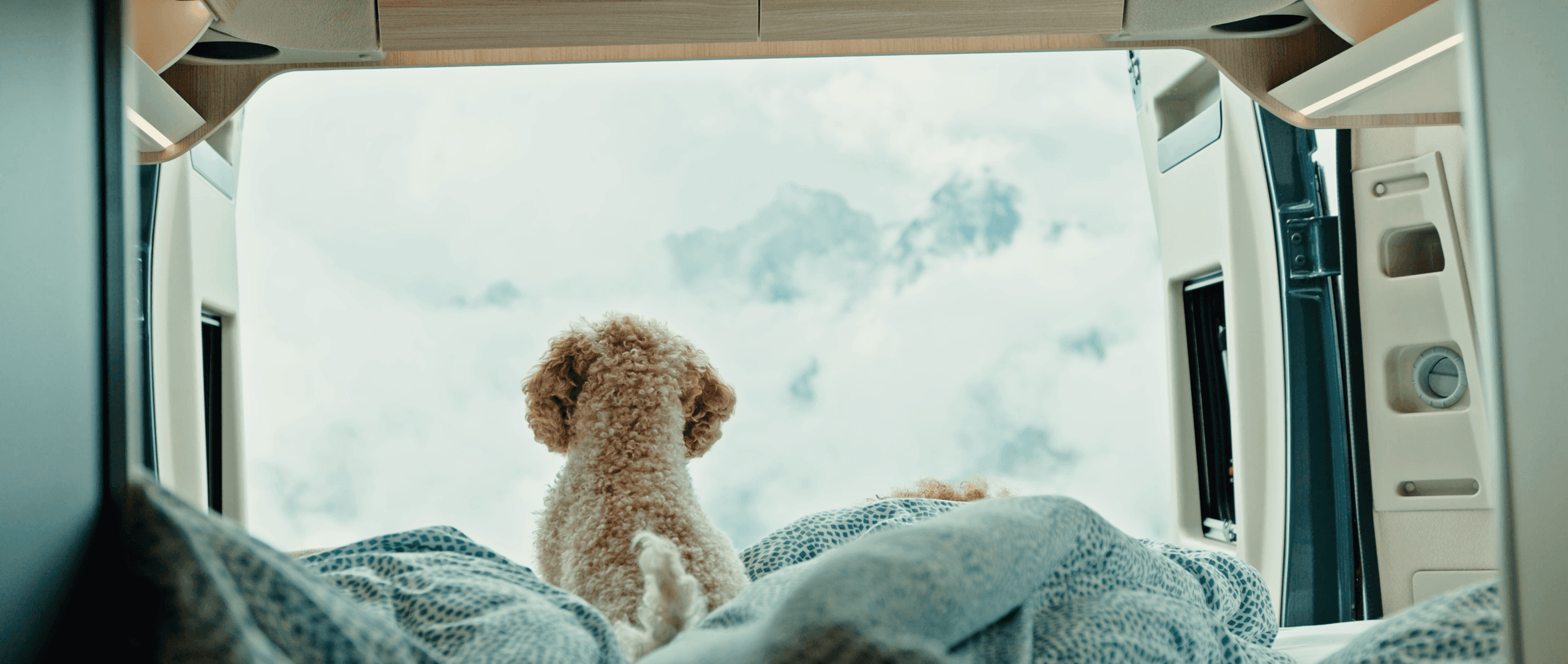 Wohnmobil mieten mit Hund: So wird dein Campingtrip entspannt