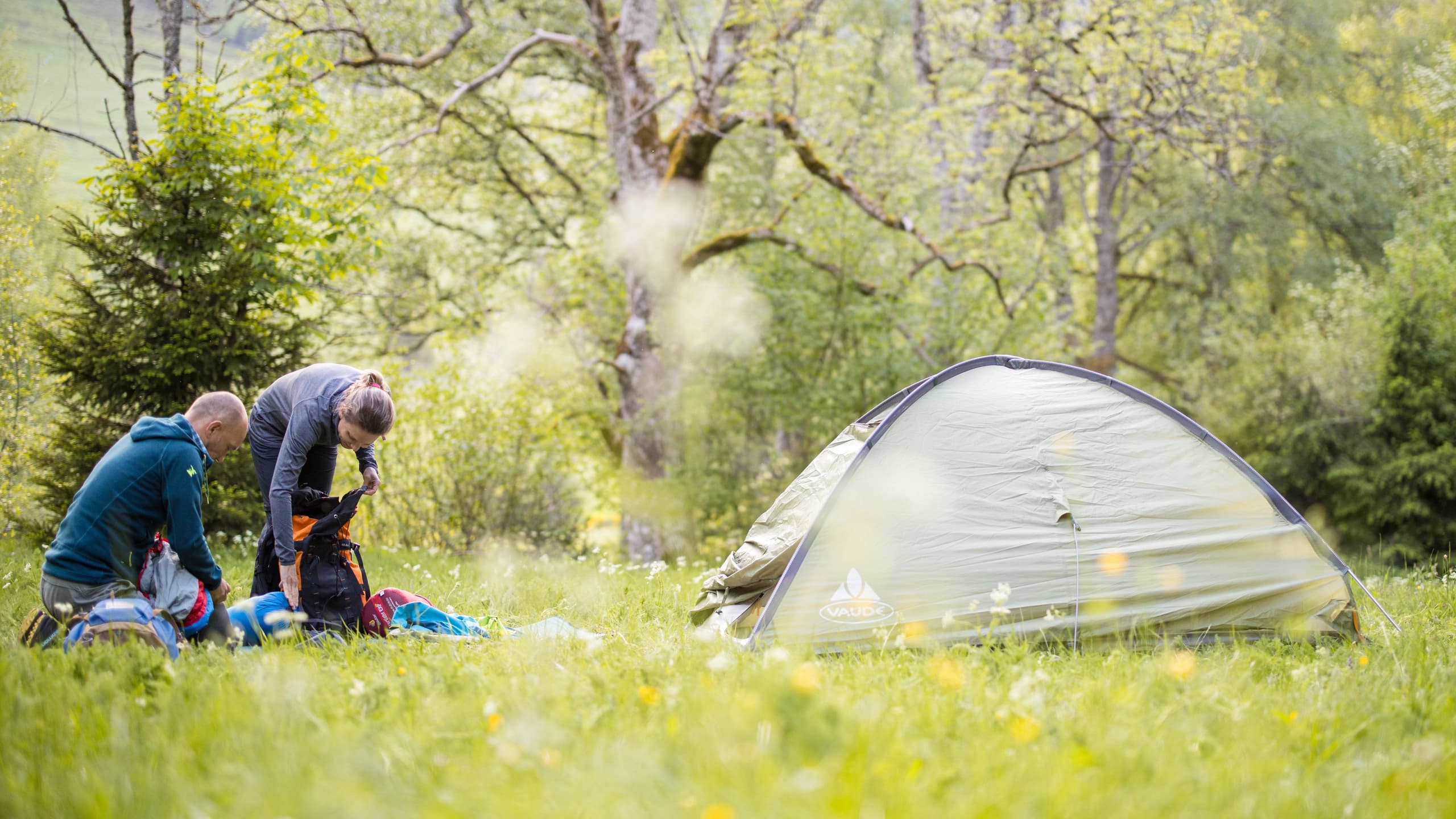 Zelten im Schwarzwald - Abenteuer zwischen Wäldern, Sternen und klarer Luft
